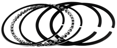 Piston Rings Hastings Std Size Tc 95 1550Cc 3.875