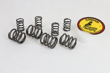Load image into Gallery viewer, Kibblewhite Stock Replacement Valve Spring Set 1966 / 1977 FL 1971 / 1977 FX