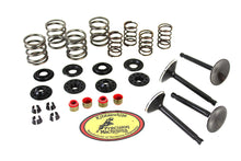 Load image into Gallery viewer, Kibblewhite Valve and Spring Kit 1966 / 1977 FL 1971 / 1977 FX