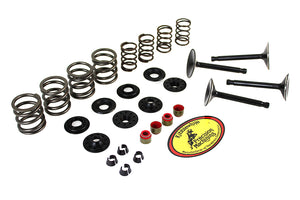 Kibblewhite Valve and Spring Kit 1966 / 1977 FL 1971 / 1977 FX