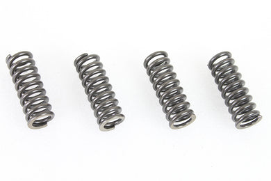 45 WR Valve Spring Set 1937 / 1952 W