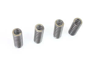 45 WR Valve Spring Set 1937 / 1952 W