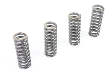 Load image into Gallery viewer, 45 WR Valve Spring Set 1937 / 1952 W