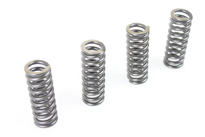 45 WR Valve Spring Set 1937 / 1952 W