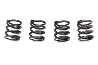 Valve Spring Kit 1948 / 1984 FL 1971 / 1984 FX 1979 / 1983 FLT 1982 / 1983 FXR