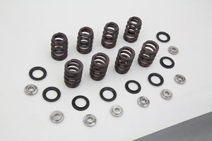 M8 Valve Spring Kit with Titanium Retainers 2017 / UP FLT