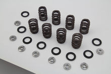 Load image into Gallery viewer, M8 Valve Spring Kit with Titanium Retainers 2017 / UP FLT
