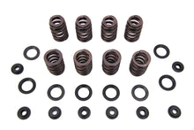 Load image into Gallery viewer, M8 Valve Spring Kit with Steel Retainers 2017 / UP FLT