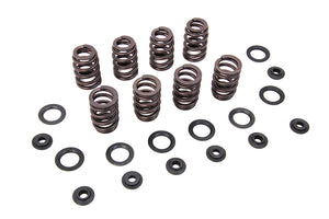 M8 Valve Spring Kit with Steel Retainers 2017 / UP FLT