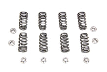 Load image into Gallery viewer, M8 Valve Spring Kit with Titanium Retainers 2017 / UP FLT