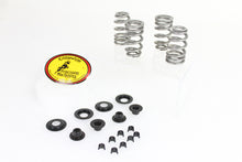 Load image into Gallery viewer, Beehive Valve Spring Kit 1984 / 2004 FXST 1984 / 2004 FLST 1984 / 2004 FLT 1984 / 2004 FXD