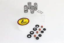 Load image into Gallery viewer, Beehive Valve Spring Kit 2005 / 2017 FXST 2005 / 2017 FLST 2005 / 2017 FXD 2005 / 2016 FLT