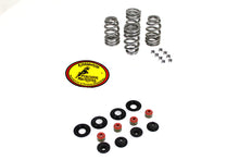 Load image into Gallery viewer, Beehive Valve Spring Kit 2005 / 2017 FXST 2005 / 2017 FLST 2005 / 2017 FXD 2005 / 2016 FLT