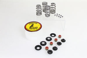 Beehive Valve Spring Kit 2005 / 2017 FXST 2005 / 2017 FLST 2005 / 2017 FXD 2005 / 2016 FLT
