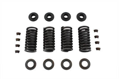 Valve Spring Kit 1930 / 1936 VL