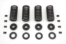 Load image into Gallery viewer, Valve Spring Kit 1930 / 1936 VL