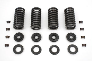 Valve Spring Kit 1930 / 1936 VL