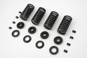 Valve Spring Kit 1930 / 1936 VL