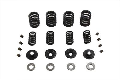 Sifton Valve Spring Kit 1983 / 1985 XL