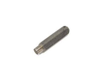 Load image into Gallery viewer, Clutch Adjuster Screw 1971 / 1984 XL