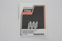 Load image into Gallery viewer, D-Ring Cadmium Rocker Arm Cover Screw Set 1948 / 1965 FL