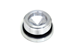 Primary Cover Filler and Clutch Hole Cap 1977 / 1985 XL