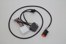 Load image into Gallery viewer, Speedometer Wiring Harness Adapter Kit 1996 / 1997 FXDWG