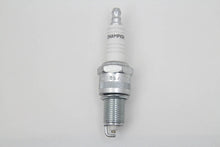 Load image into Gallery viewer, Champion Copper Plus Spark Plugs 1978 / 1979 FX 1978 / 1979 FL
