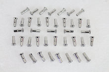 Load image into Gallery viewer, Spoke 40 Piece Stainless Steel Nipple Set 1936 / 1952 WL Front