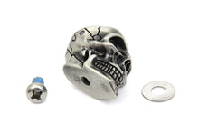 Load image into Gallery viewer, Skull Set Antique-Silver 0 /  All models