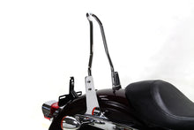 Load image into Gallery viewer, Sissy Bar Side Plates 2004 / UP XL