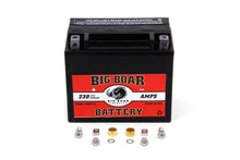 Load image into Gallery viewer, Big Boar Mini Battery 0 /  Custom application0 /  Custom application