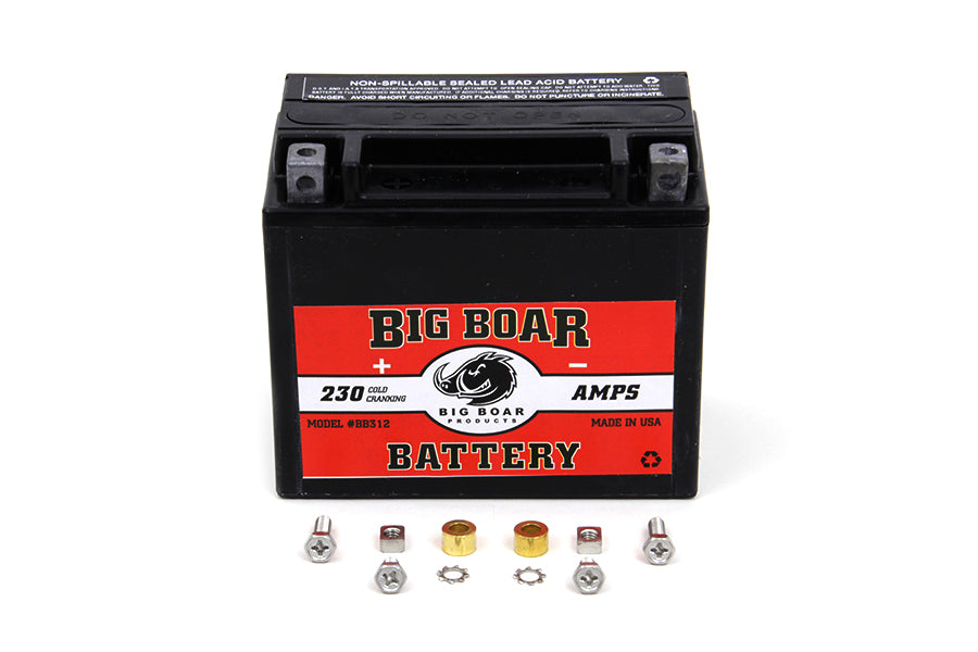 Big Boar Mini Battery 0 /  Custom application0 /  Custom application
