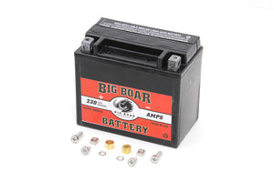 Big Boar Mini Battery 0 /  Custom application0 /  Custom application