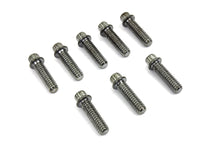Load image into Gallery viewer, Tappet Block Screw Kit Chrome 1976 / 1984 FL 1976 / 1984 FX 1979 / 1998 FLT 1979 / 1998 FLT 1982 / 1994 FXR 1982 / 1994 FXR 1986 / 1998 FLST 1991 / 1998 FXD
