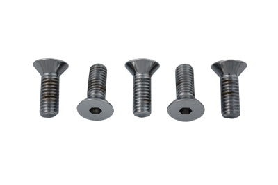 Disc Bolt Kit Chrome 1980 / 1981 FL Front1980 / 1981 FLT Front and Rear1980 / 1981 FL Front1980 / 1981 FLT Front and Rear