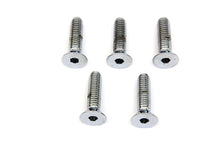 Load image into Gallery viewer, Front Disc Brake Screws 1974 / 1977 XL 1974 / 1977 FX