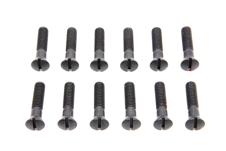 Cam Cover Screw Kit Parkerized 1936 / 1940 EL 1941 / 1969 FL